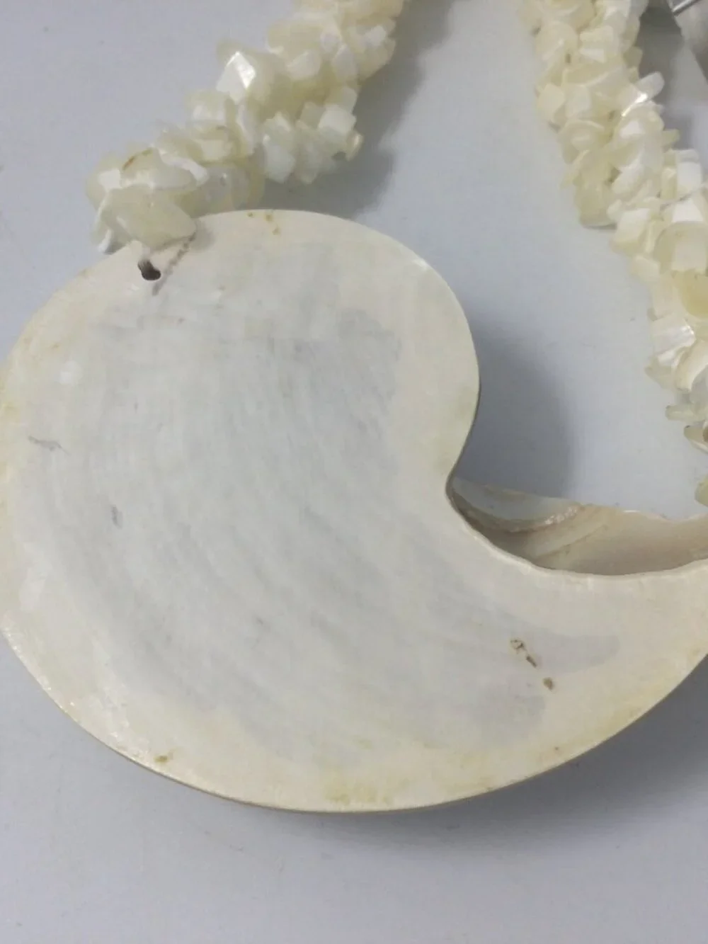 Vintage Necklace Earrings Iridescent Mother of Pearl Nautilus Shell Coastal 19